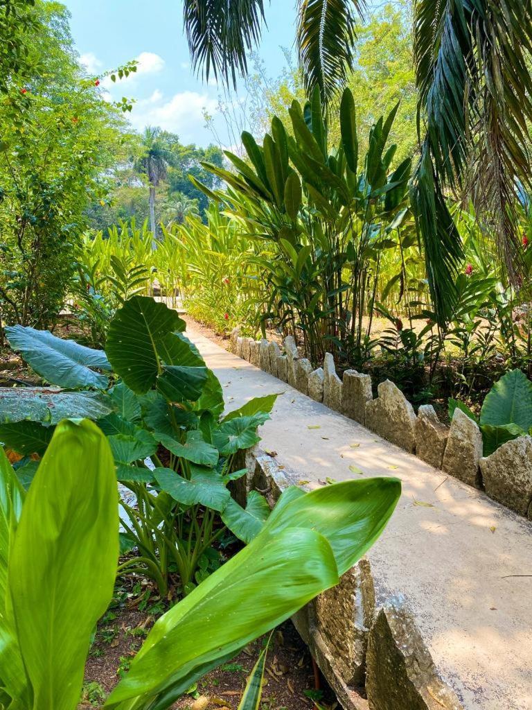Hotel Maya Bell Palenque Kültér fotó