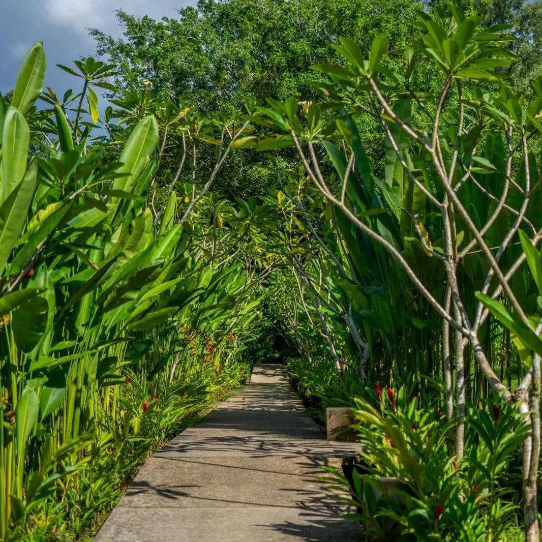 Hotel Maya Bell Palenque Kültér fotó