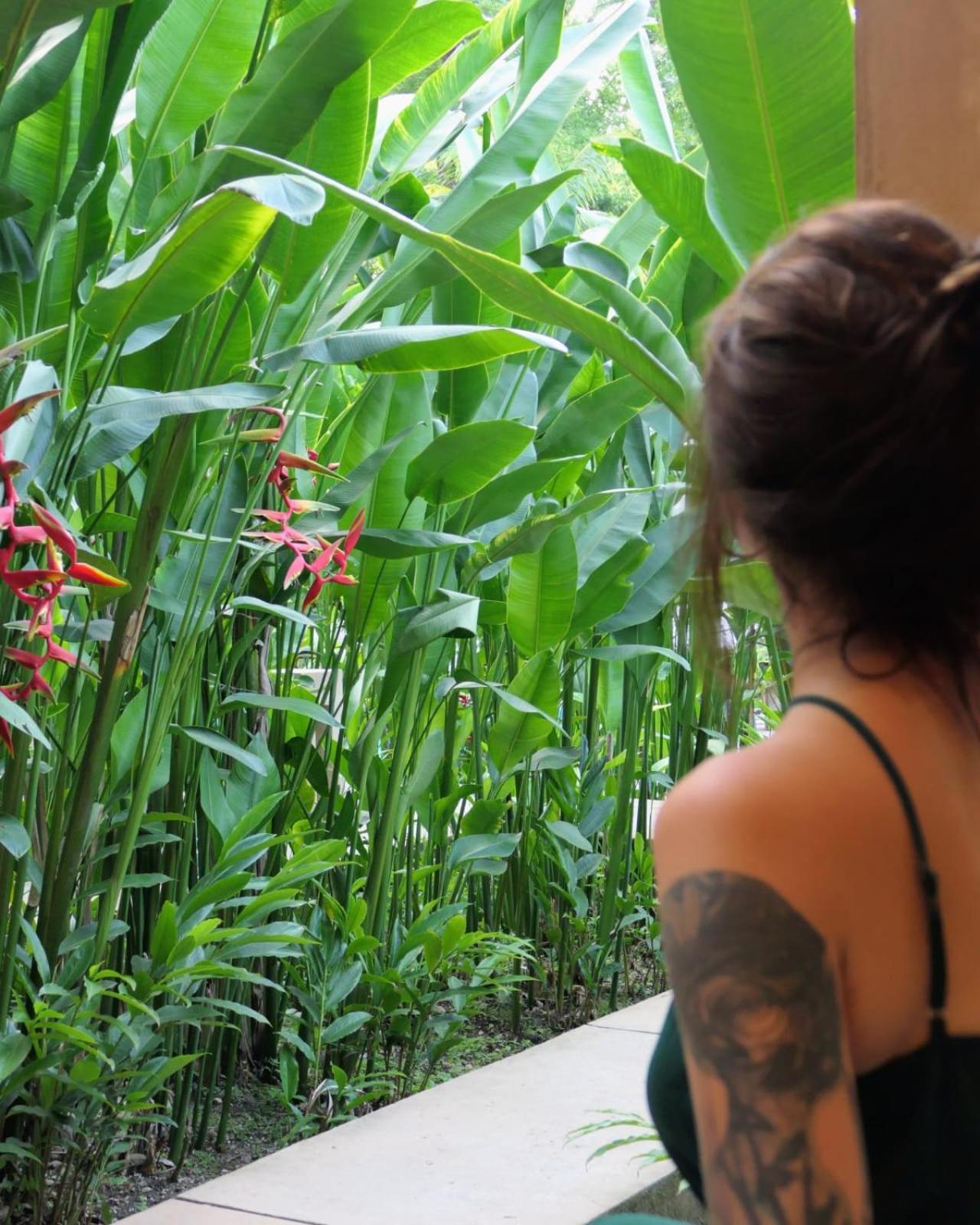 Hotel Maya Bell Palenque Kültér fotó