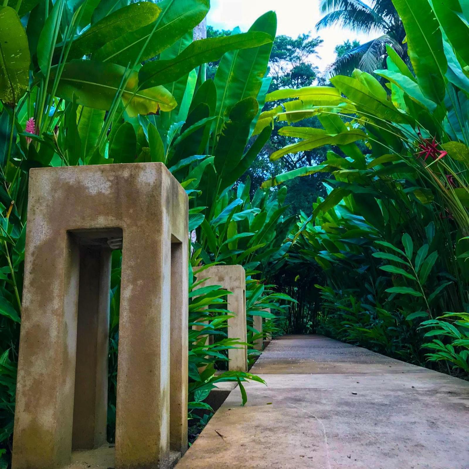 Hotel Maya Bell Palenque Kültér fotó